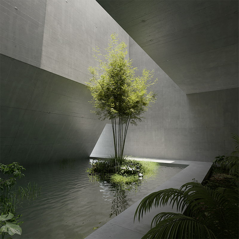 A tree surrounded by concrete walls